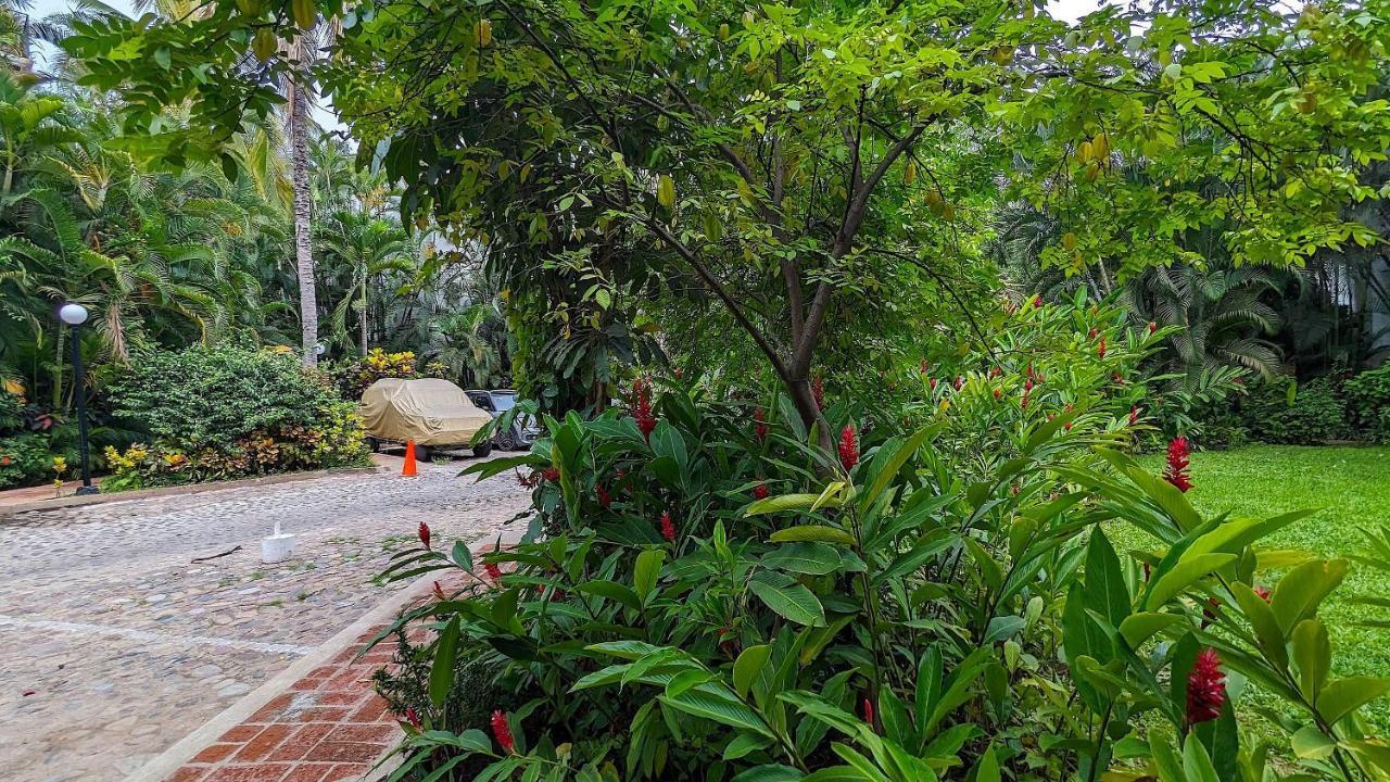 Marbella Villa ปูแอร์โตบาญาร์ตา ภายนอก รูปภาพ
